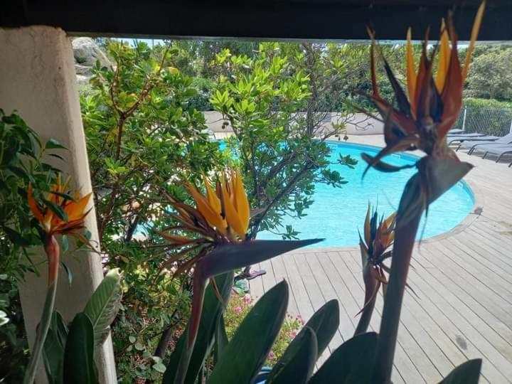 Residence Stella D'Oro Πόρτο Βέκιο Εξωτερικό φωτογραφία