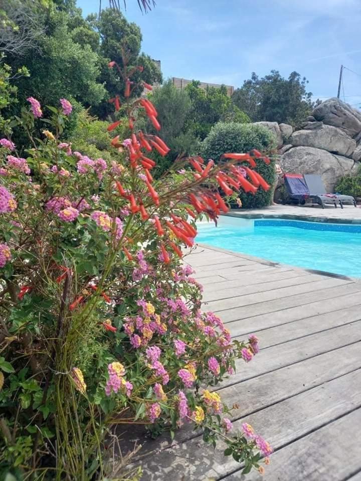 Residence Stella D'Oro Πόρτο Βέκιο Εξωτερικό φωτογραφία